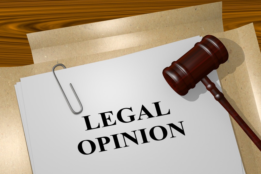 Legal Opinion on Company Law & SEBI Regulations